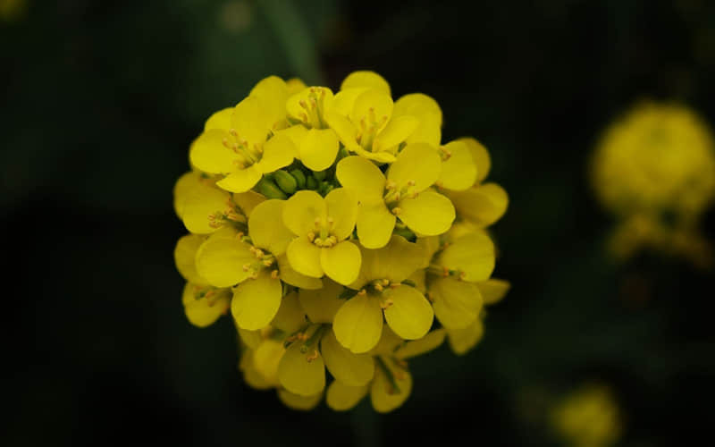 ��2?2?/??.??????�£����ϼ���8�仰��