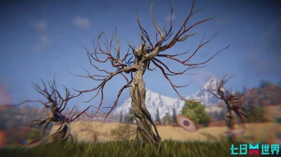 ���������¹�����ô��