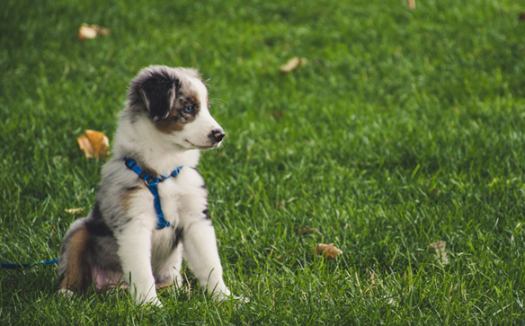 ����Ҳ�������Ϻ�������������԰ ����98Ԫ��