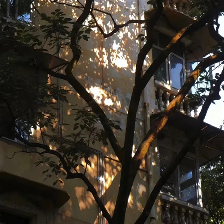 ��ܰ�������˸�����(��ѡ100��)