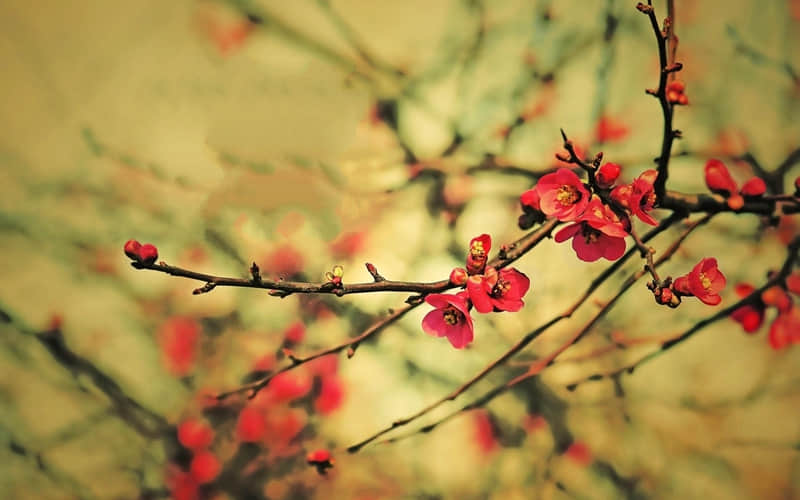 ��������������ȥ���Σ�����Ȧһ��Ҫ��������