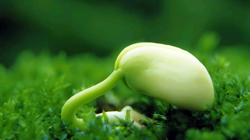 �����۵�����Ȧ������չ٣��ж��İ���������