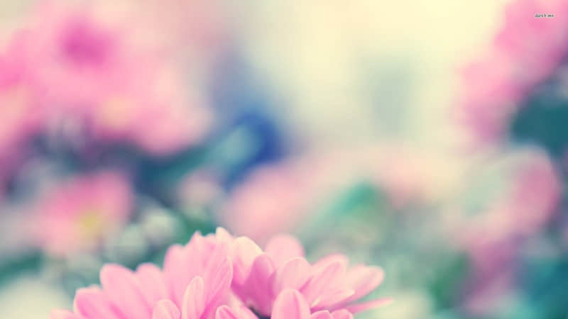 ??????????���Ѽ��� ������Ȧ��????.?.?