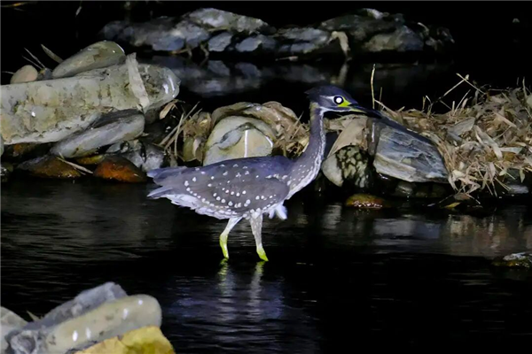 ���ϻ����Z�����㶫���й����С������������ص���