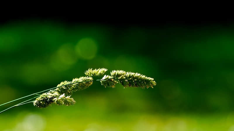 ����һ�䣬ȥЦ���������Ȧ��