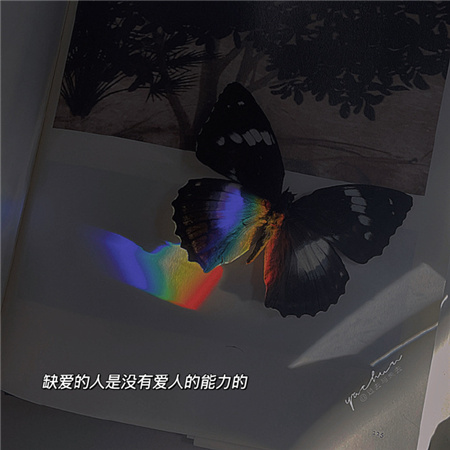 ����ͼƬ�˸���������(��ѡ100��)