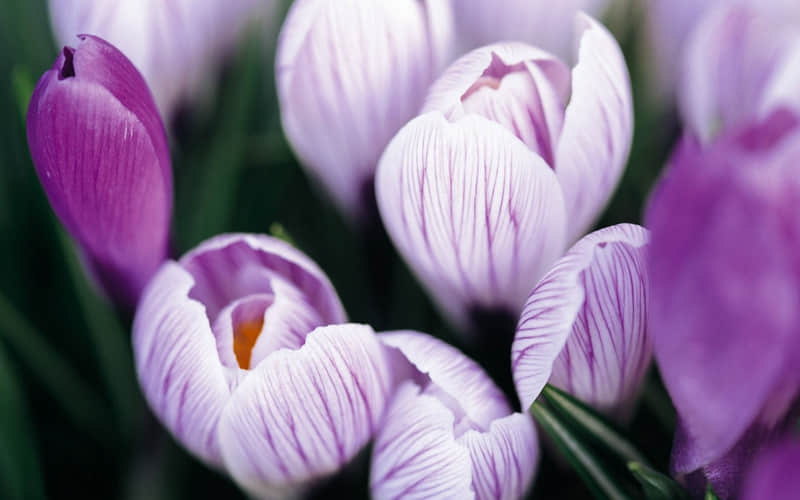 ��������������??����λ������ˡ�