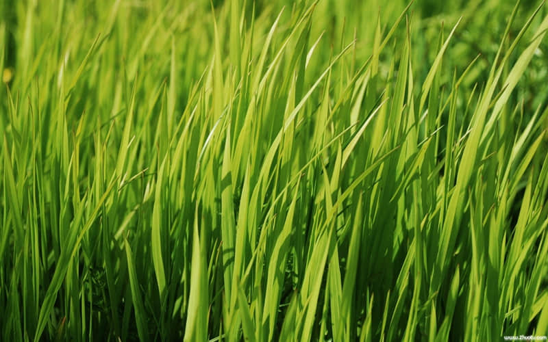 Ů�˿��ƺܴ�����ʵ�ʺܵ��۵ļ�����Ϊ??��