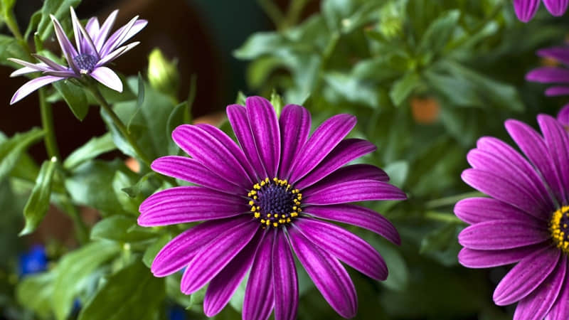 ��2?2?/??.??������������һ����һ��������Ȧ��