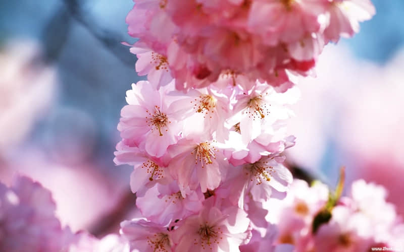 �� ?????????1?? ???? 2?2?��һ���������������뷢һ����һ��������Ȧ~????100%�ޱ� ��