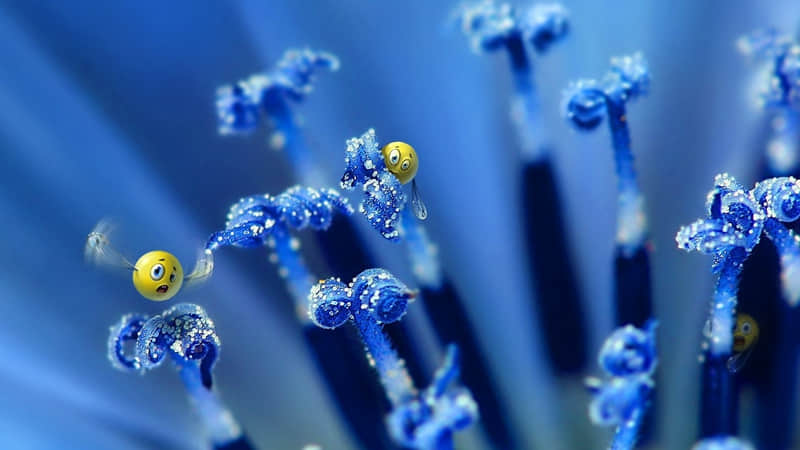 ��������˵��Ů�ˣ���ק�����ѡ�