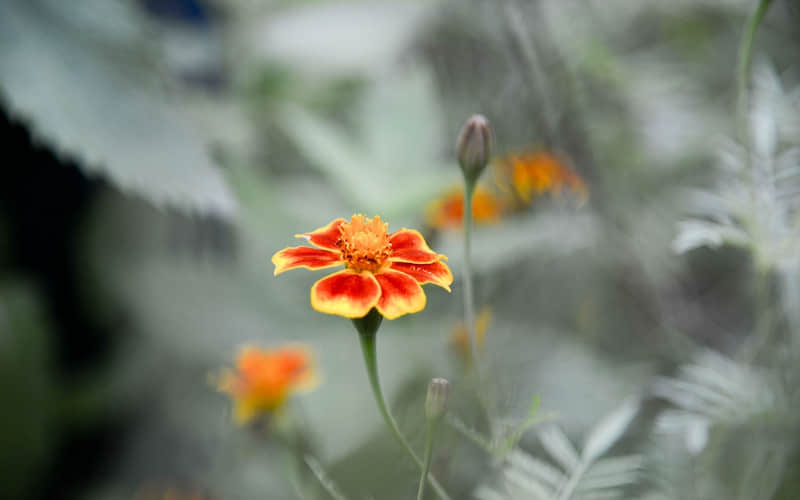 ���ʺ��κι�ϵ��һ�λ���̫��ʵ�ˡ���