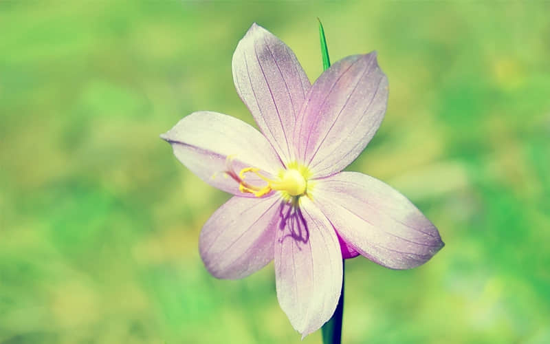 ���������ѣ���һ����һ��������Ȧ��??