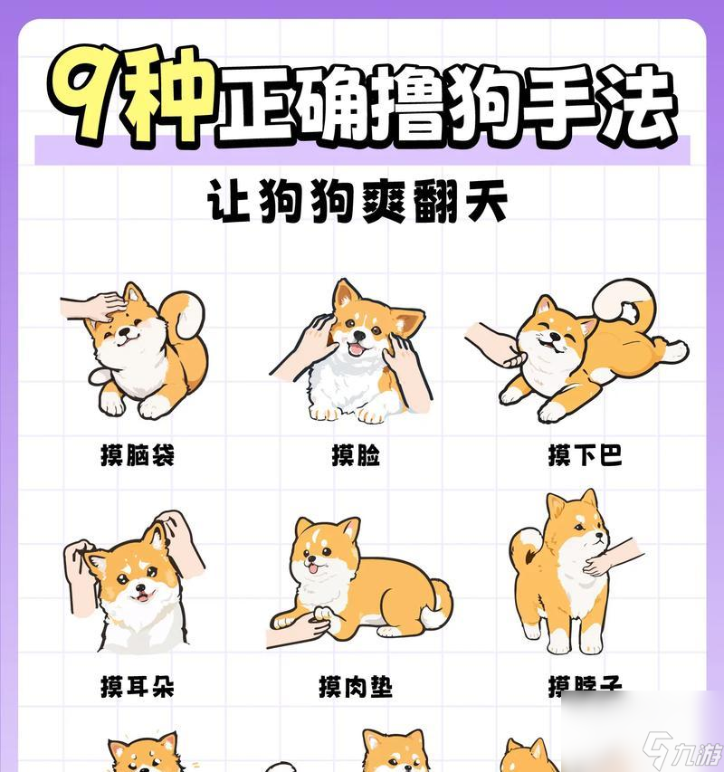 ������ʥ������Ϸ���� �����ֲ���������