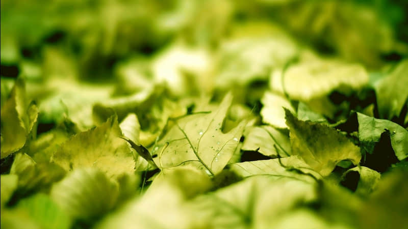 ��䲻�ƣ������ã�Ц����?