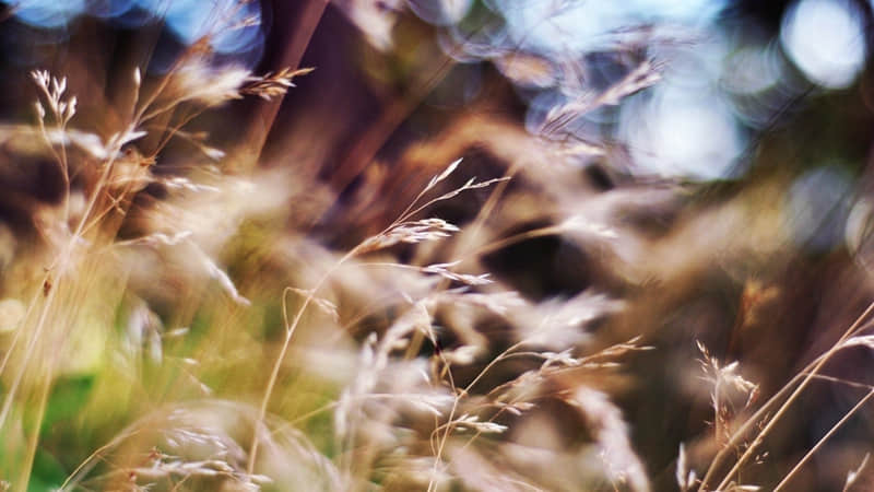 �����⣬�뷢һ����һ��������Ȧ�İ�����ů���ģ�