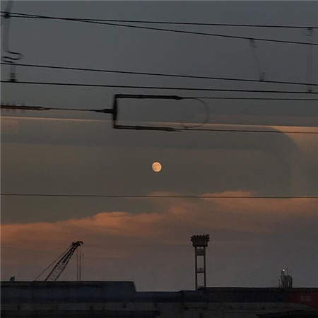 ���˸�����������ĸ����(��ѡ100��)