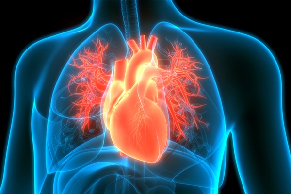 ��Դ�������μ��ȣ��������Ĳ�