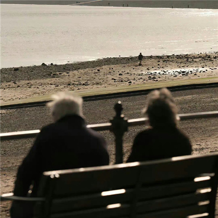 �������˵Ĺ���������ȫ(��ѡ100��)