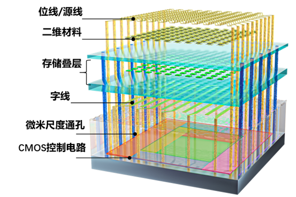 2025����й���ѧʮ���չ������ȫ���׿�2D-�����ϼܹ�����оƬ����ѡ