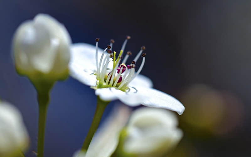 ��������˵�������ˡ�����ô�أ�Ц����??��