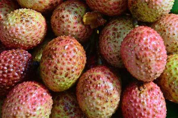 ������֦���������ˣ�����Ʒ�ּ�������