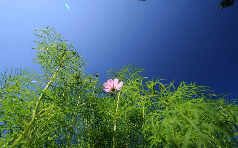 ����ĳ���ˣ���ô�����ֻ���??��