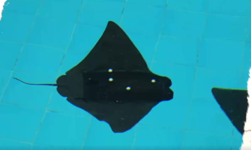 ������ħ���㡱����ˮ�±�ը��  ��ȫ�ٺ�����ʮСʱ