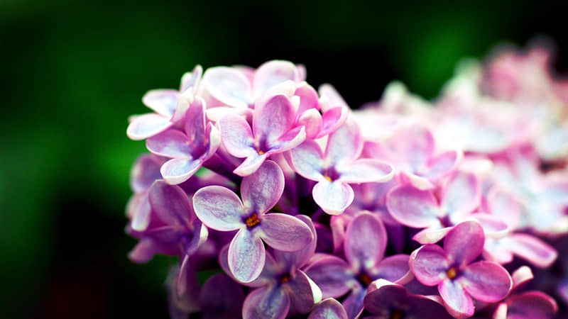 ��޶һ�䣬ȥ������������ѣ�