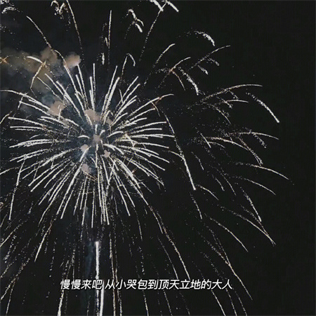 ����ͼƬ�˸���������(��ѡ100��)