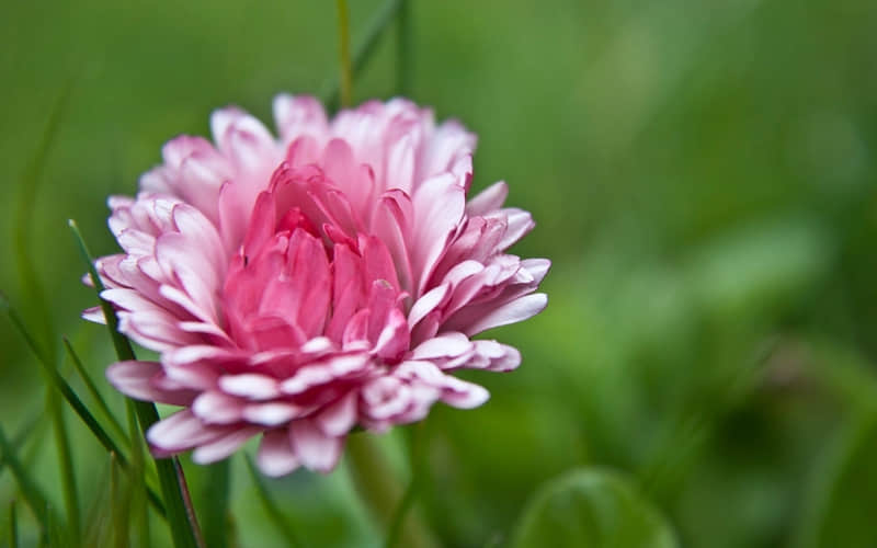 ��ѡһ�䣬ȥЦ���������Ȧ��