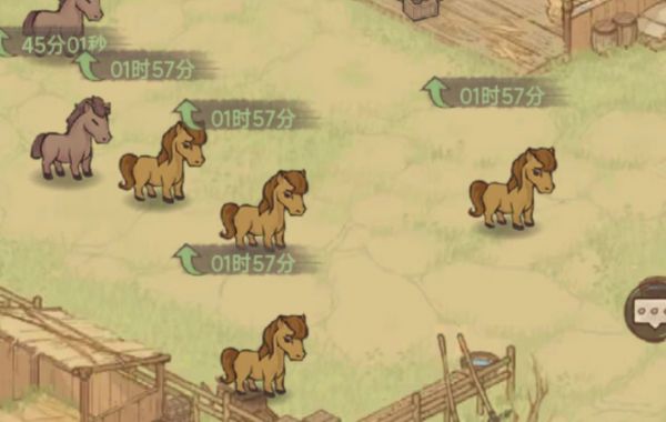 �������������ô����  �������������������