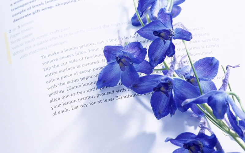 ��С�꣬��һ����һ��������Ȧ��