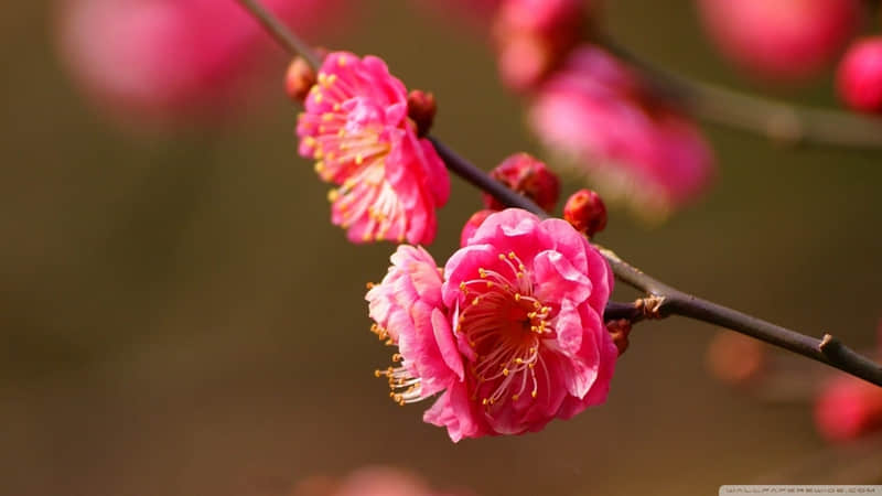 �������������ˣ���֤������??��