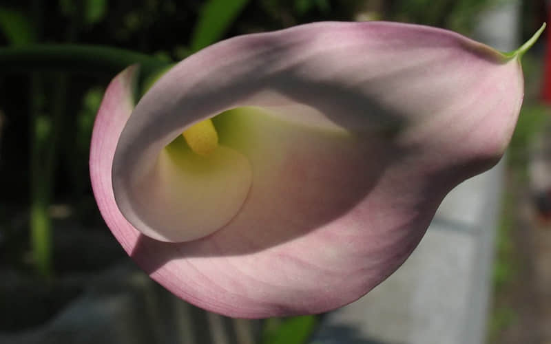 ��2?2?/??.???? ������졫�簲����һ��������Ȧ�İ������ֶ��ˣ�������ġ�