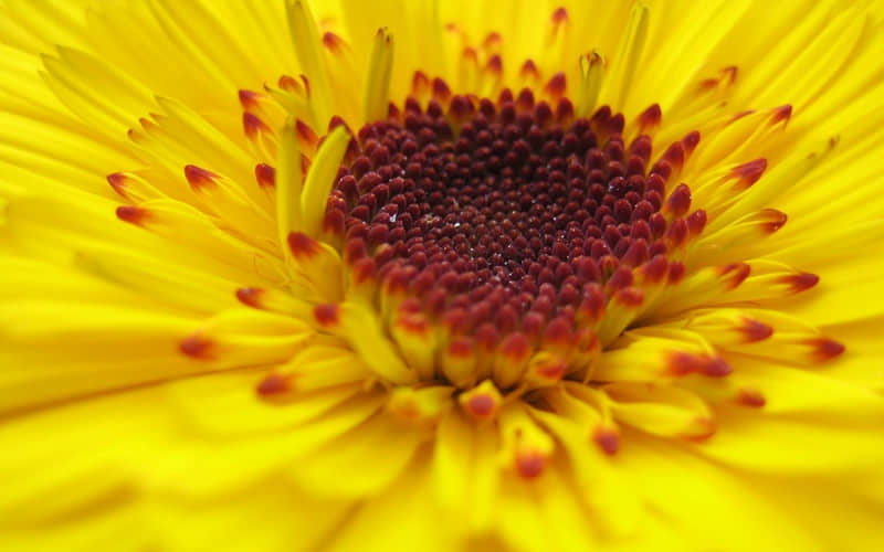 ��һ�����ˣ�����Ȧ��������˵�������̺ܸߡ�