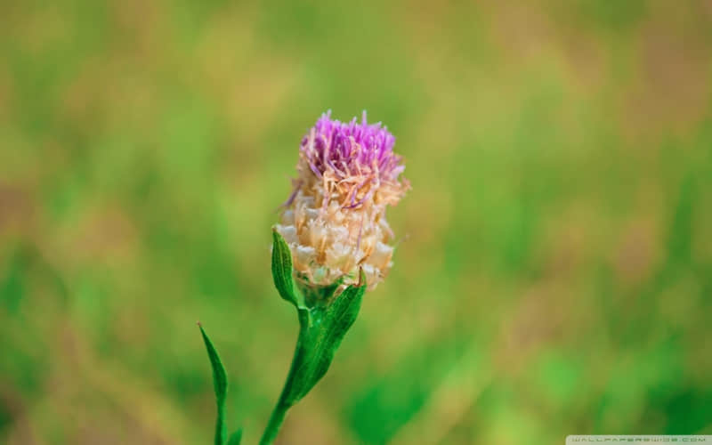 �����������ϣ��ͷ��ְɡ�