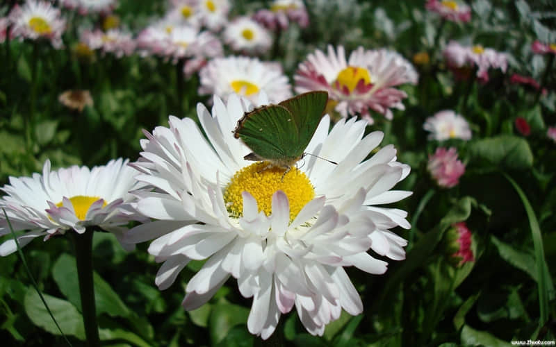 ��2?2?/??.??�簲����Ȧ����������һ����һ��ů��һ���ʤһ�갲~��