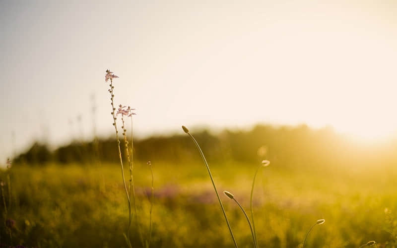 ��2?2?/??.??�Ϸ�С��ҹ������Ȧ��������С�����??~��