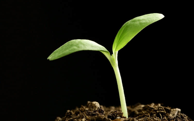 �����ձ�Ц�ܽᣬ����������Ȧ��