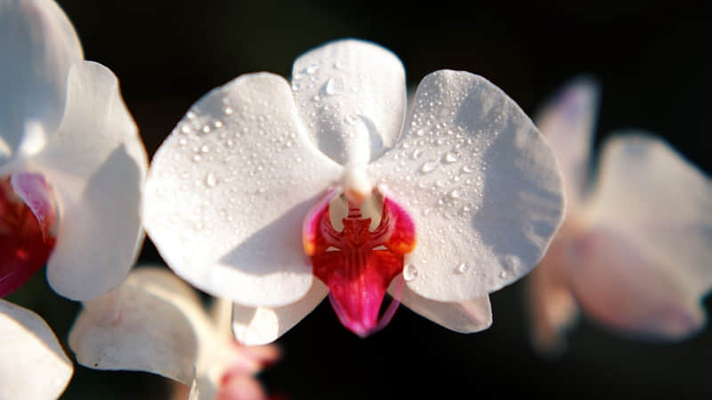 ��ӭС�꣬�뷢һ����һ��������Ȧ??��