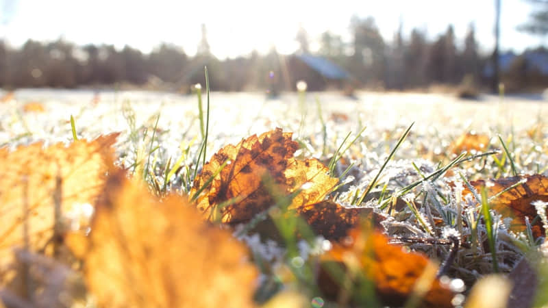 �������� ������ֱ��????�Է��� ??