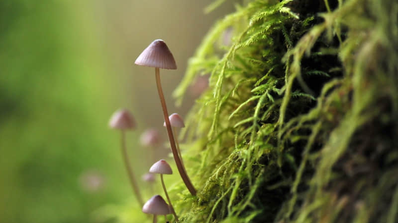 �����������Ĺ�ϵ��ι��������ֵ??�A???�@?��