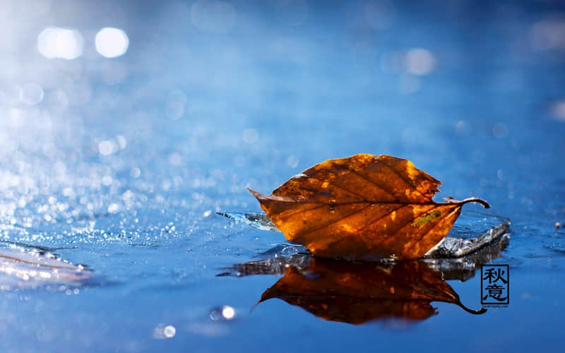 ������������Ϧҹ���췢���߼��о��ˡ�