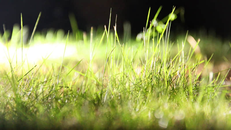 ������ش���ô����Ц������Ȧ��