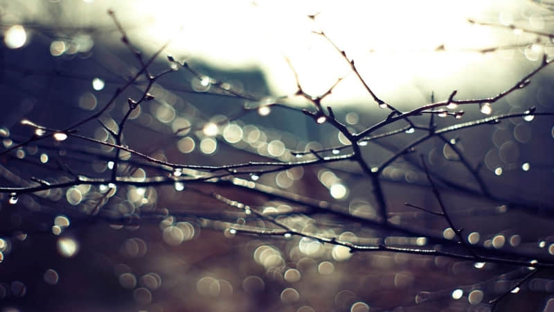 ���簲��������Ԫ���������в���ת�ˣ���Ҷ�ϲ��~��