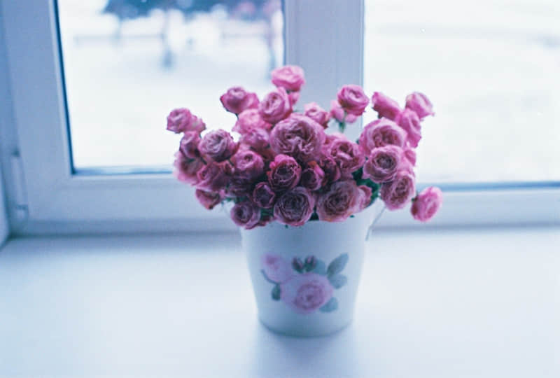 ��2��14�����˽ڣ��İ���ô��??��