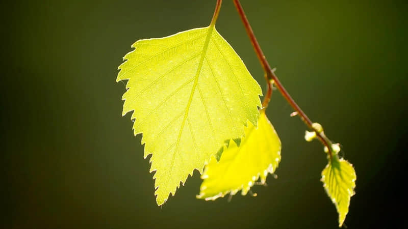 ����ף������˴�л�ͻ�������ȫ�µ�����Ȧ���ÿͻ������ס�㣡��