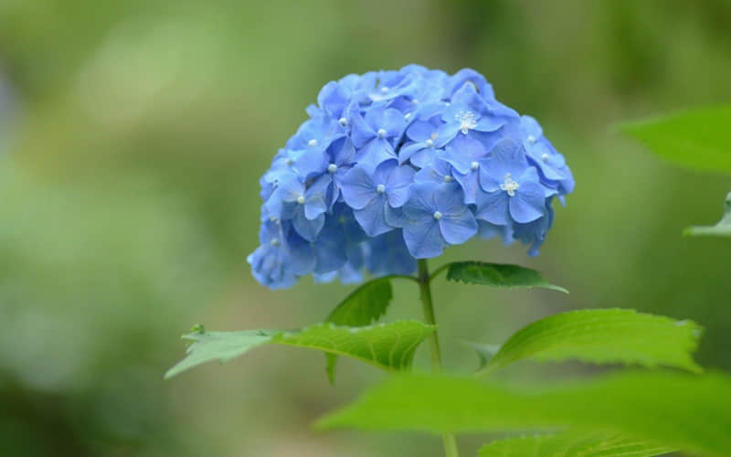 ����һ�䣬ȥ�������������??��