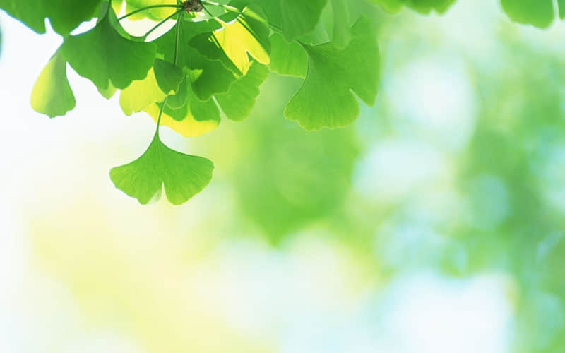 ��2?2?/??.??��Ϧҹ??���뷢һ�ֺ��µ�����Ȧ��